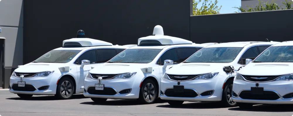 A fleet of white cars